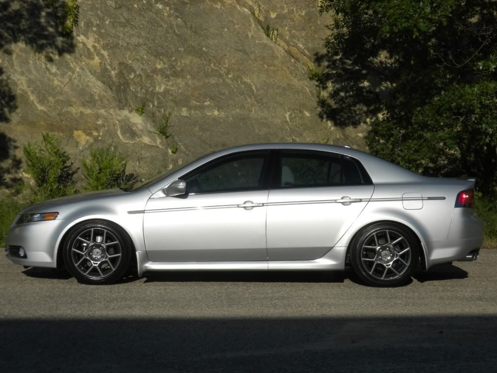 Acura tl mud deals flaps